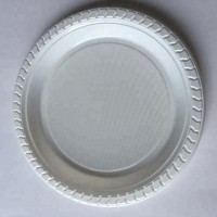 11" Disposable plastic plate/party tray