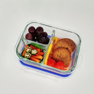 High Borosilicate Take Away Glass Food Storage Containers With Locking Lids