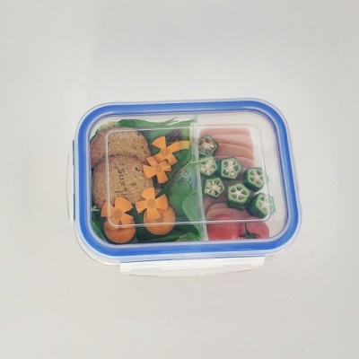 Wholesale Borosil 2 Compartment Microwave Glass Lunch Box